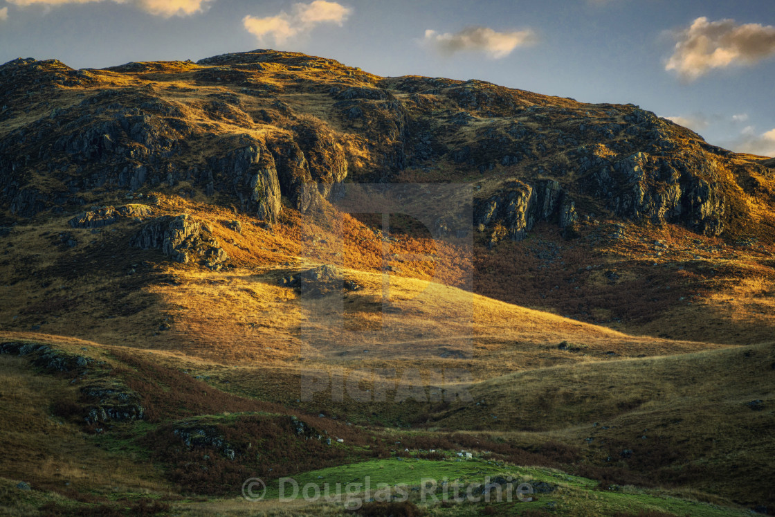 "Early light on the hill" stock image