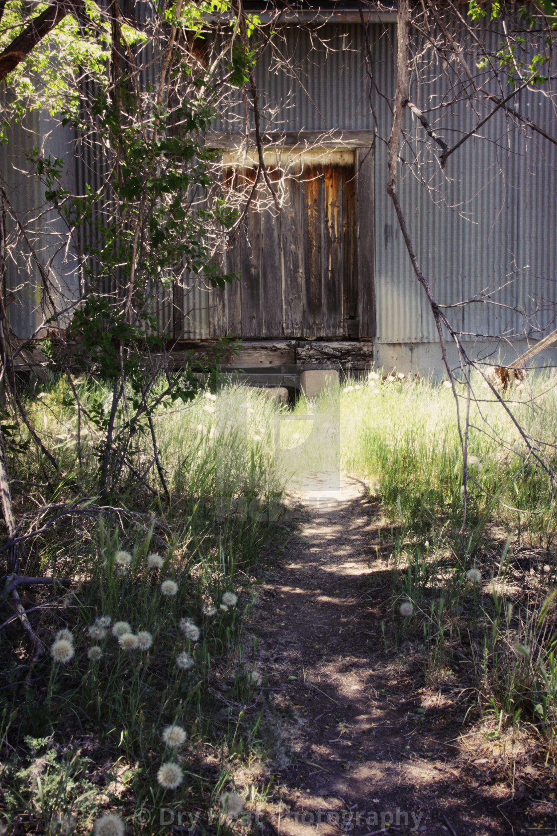 "Abandoned Mill" stock image