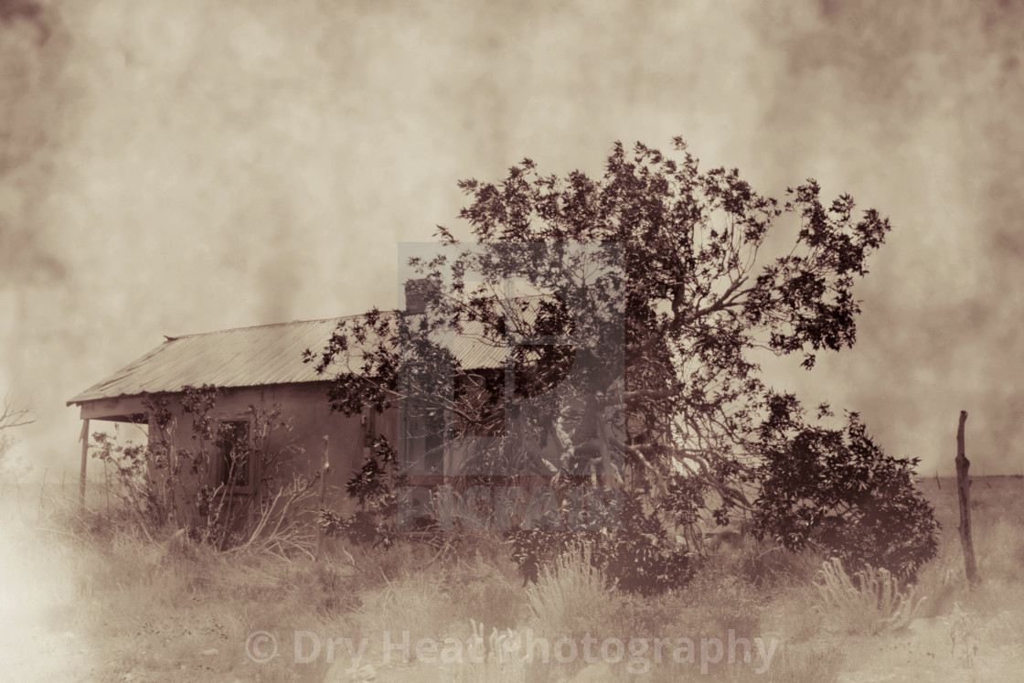 "Abandoned house in Cedarvale, New Mexico" stock image