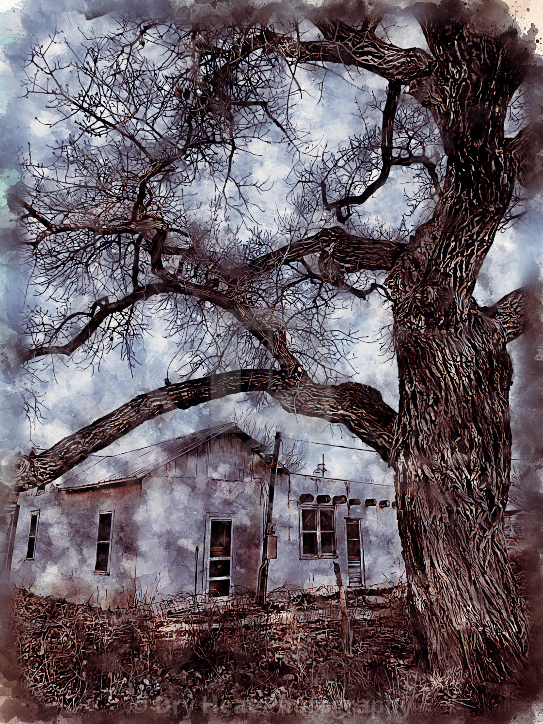 "Abandoned house and old Cottonwood Tree in Peralta, New Mexico." stock image