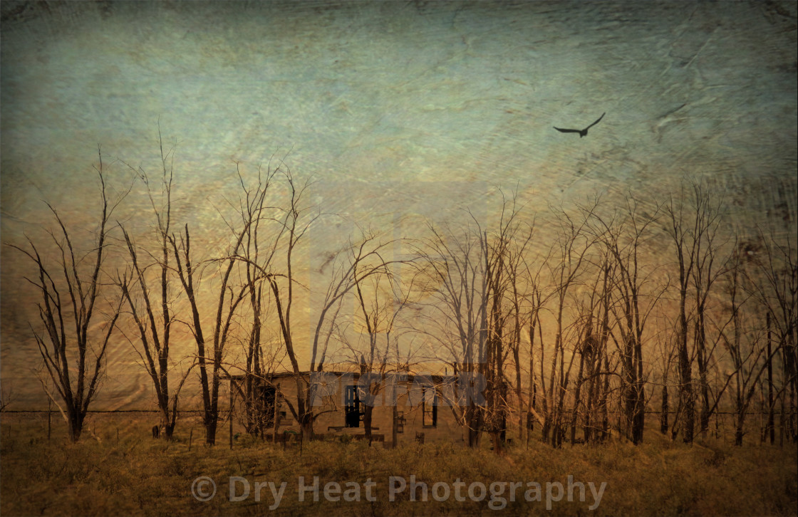 "Abandoned house near Lucy, New Mexico" stock image