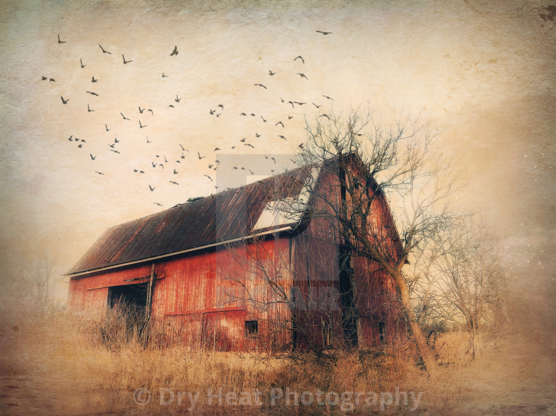 "Rustic Barn" stock image