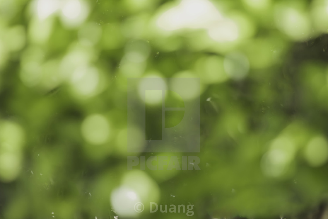 Bokeh Background With Full Color Beautiful Texture Of Effect With Green Leaf Nature Circle Colorful Pattern With Space Art License Download Or Print For 1 24 Photos Picfair
