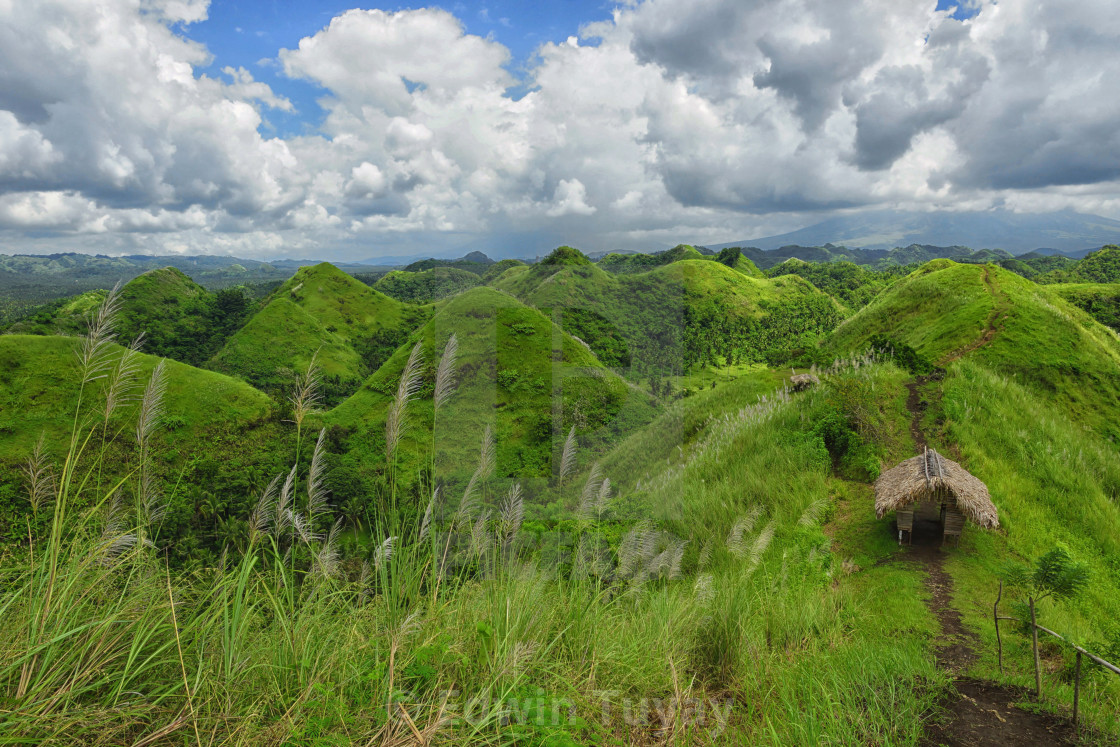 "Quitinday Greenhills" by Edwin Tuyay - $99.60 "Quitinday Greenhills" stock image