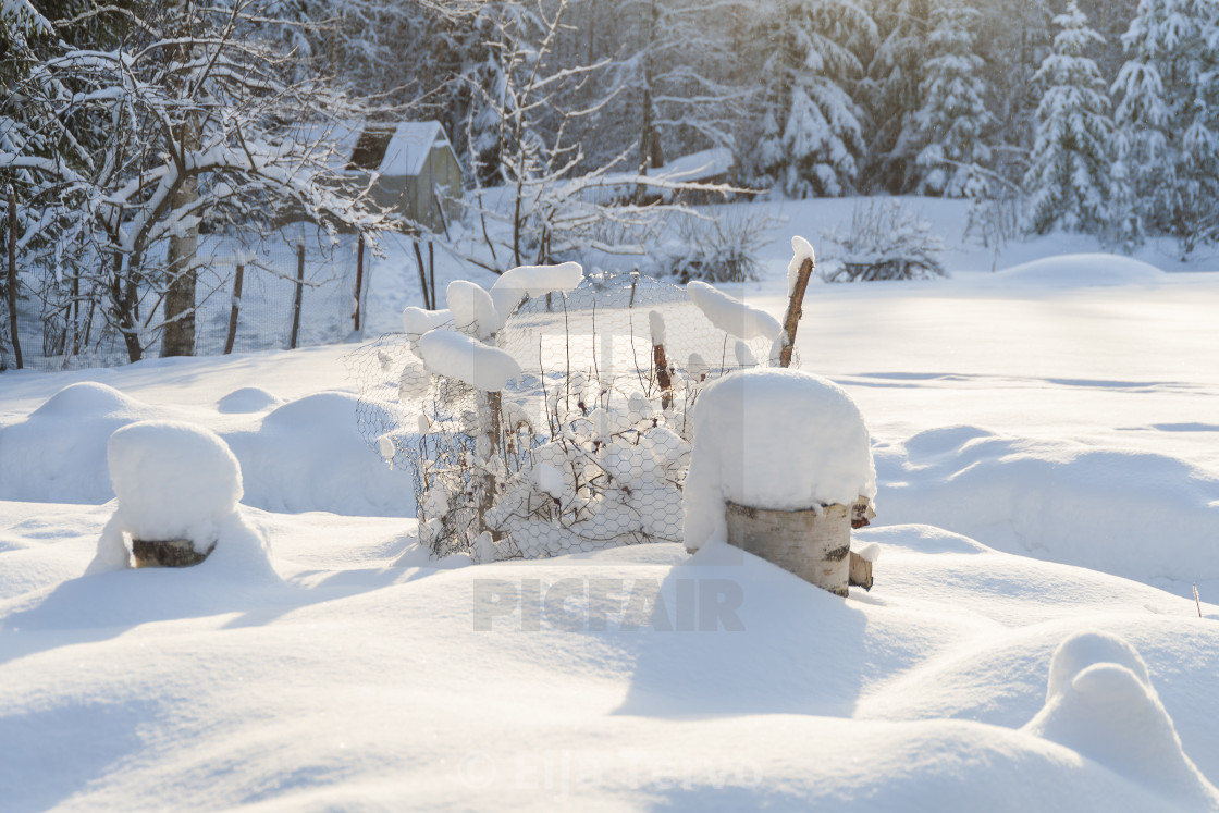 "A sunny winter day" stock image