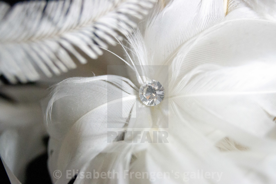 from £24.80