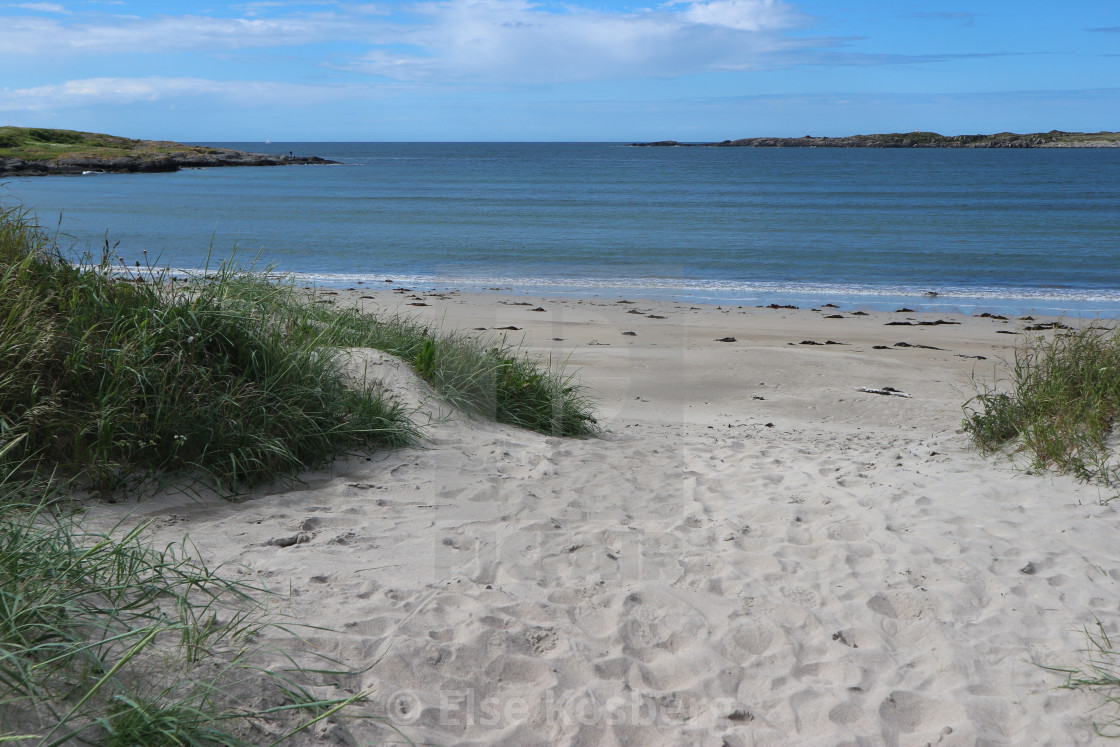 "Sunny day on the beach" stock image