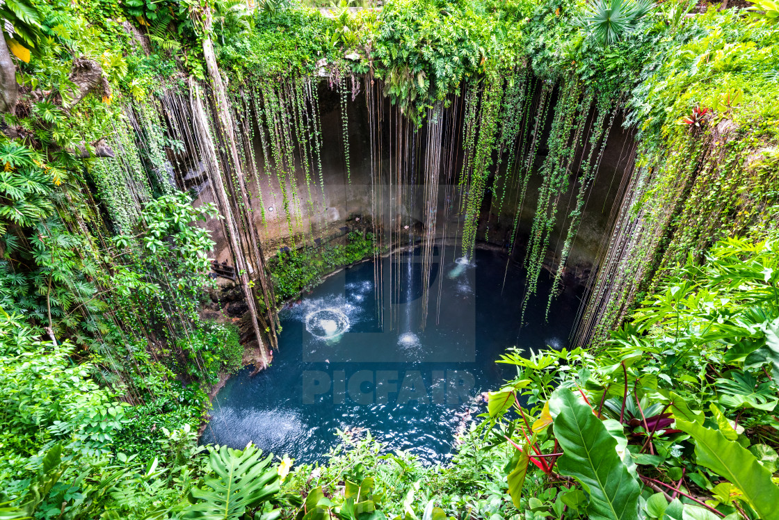 "Ik-Kil Cenote, Chichen Itza, Mexico" by Emi Cristea - £4.96 "Ik-Kil Cenote, Chichen Itza, Mexico" stock image