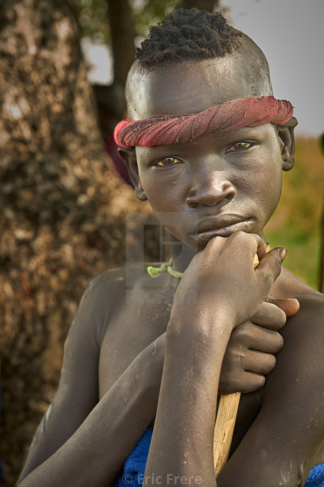 "Musi Shepherd" by Eric Frere - $40.35 "Musi Shepherd" stock image