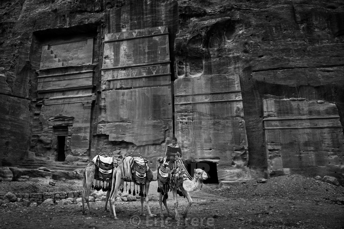 "Camels passing through Al-Siq" by Eric Frere - $40.35 "Camels passing through Al-Siq" stock image