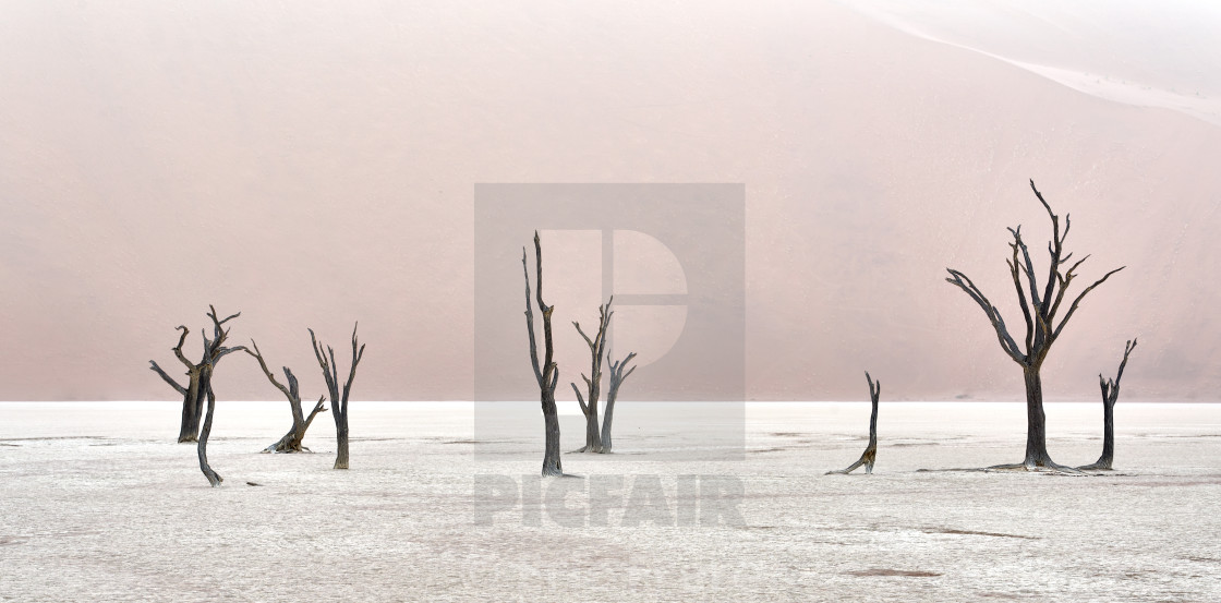 "Deadvlei Panorama" by Eric Frere - $40.35 "Deadvlei Panorama" stock image
