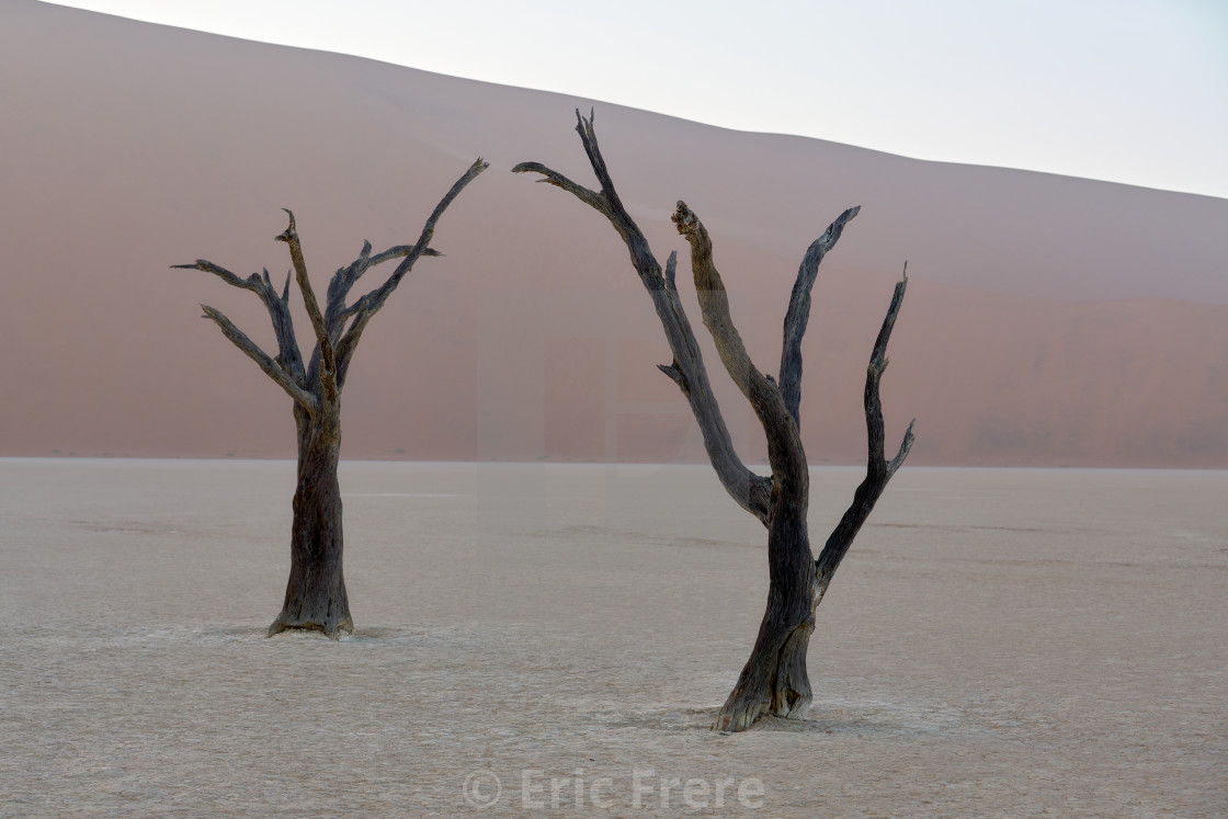 "Deadvlei" by Eric Frere - $40.35 "Deadvlei" stock image