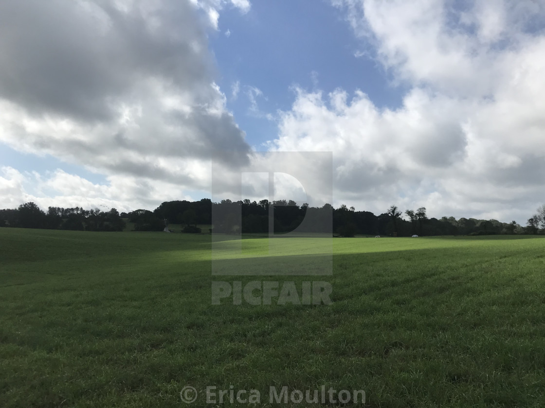 "Who Made Who" by Erica Moulton - $29.89 "Who Made Who" stock image