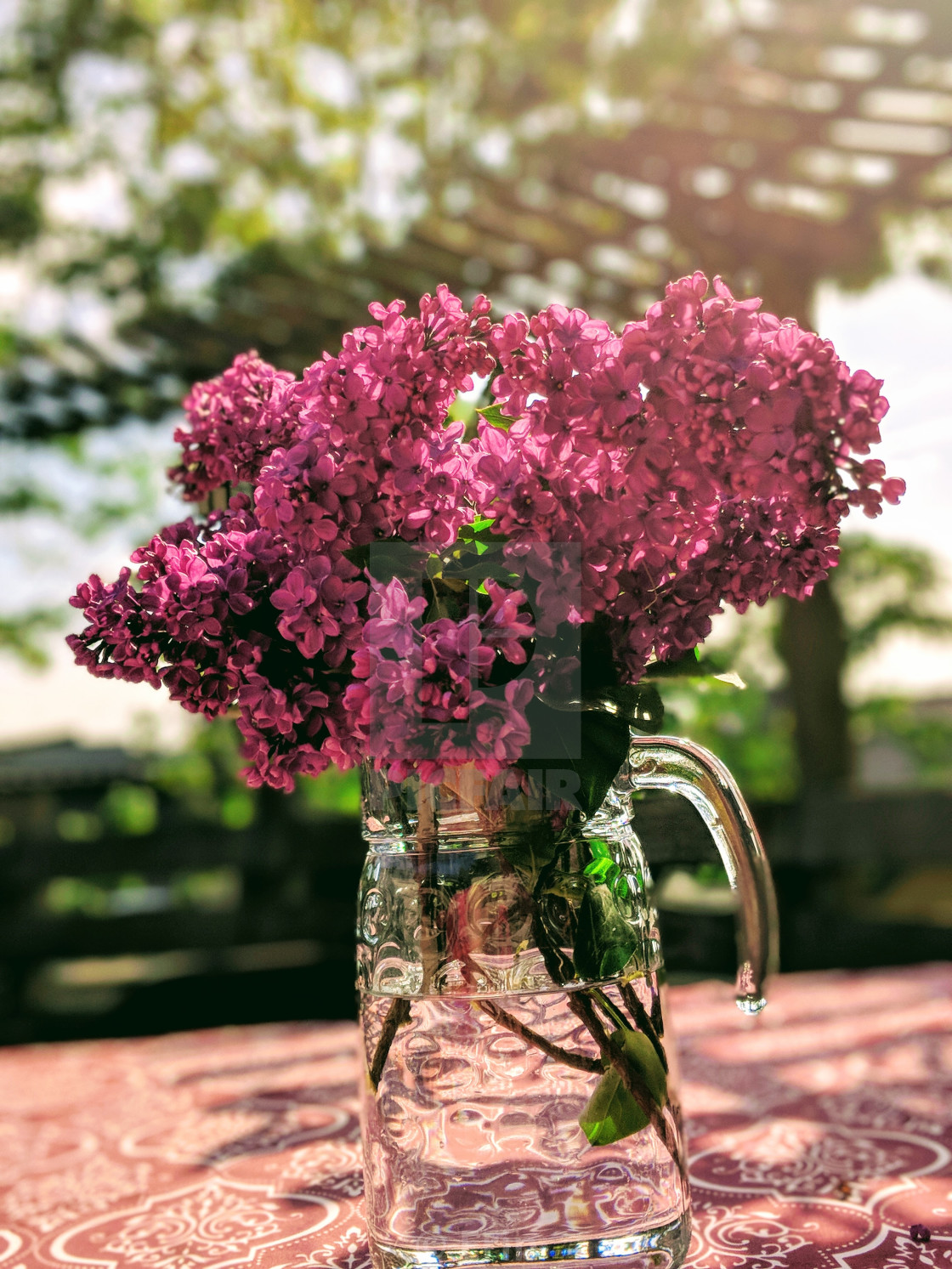 "Kenmore Summer Lilacs" stock image