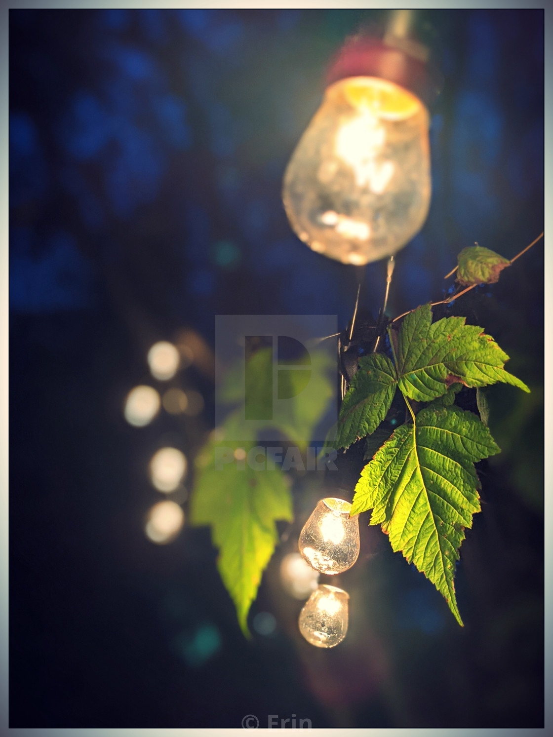 "Warm light by the campsite..." stock image