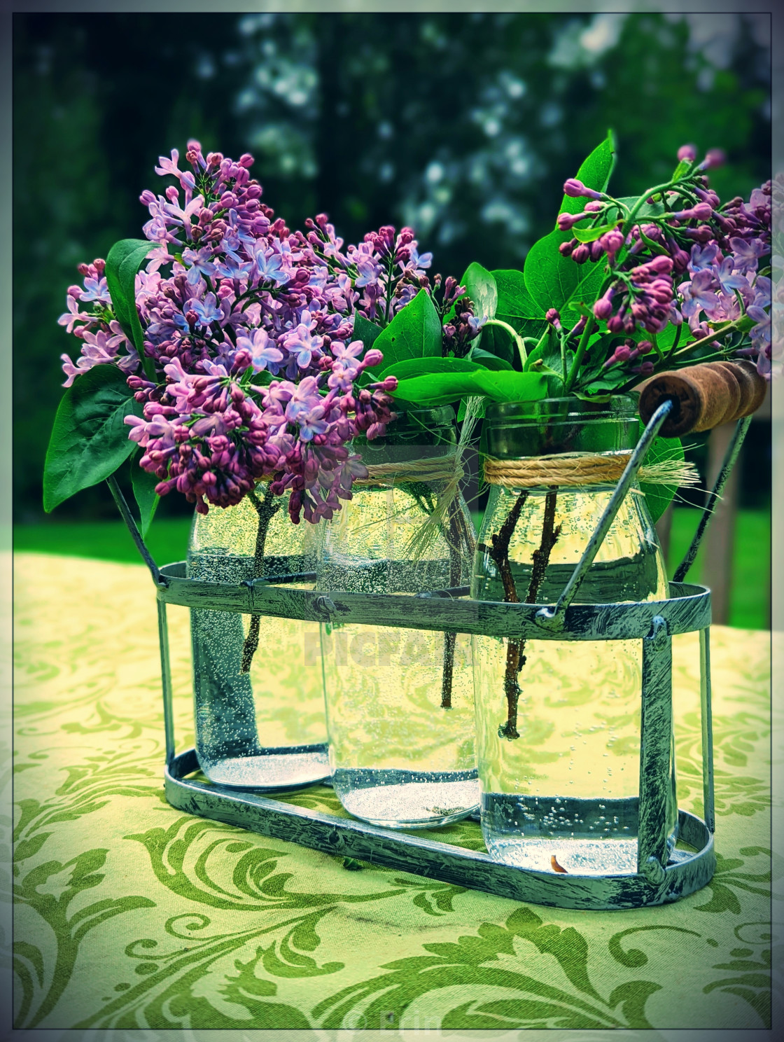 "Lilacs dressing the table..." stock image