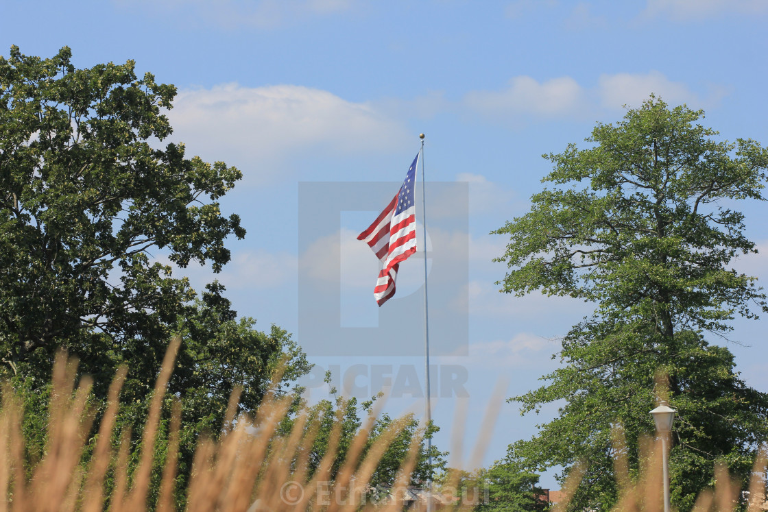 "Giant Flag through the brush" stock image