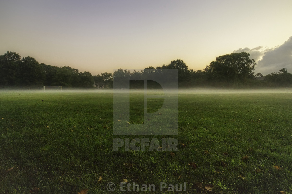 "Misty Morning Play" stock image