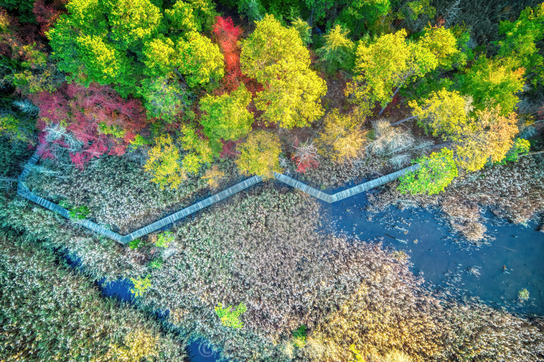 "A Marshland Boardwalk During Fall" stock image