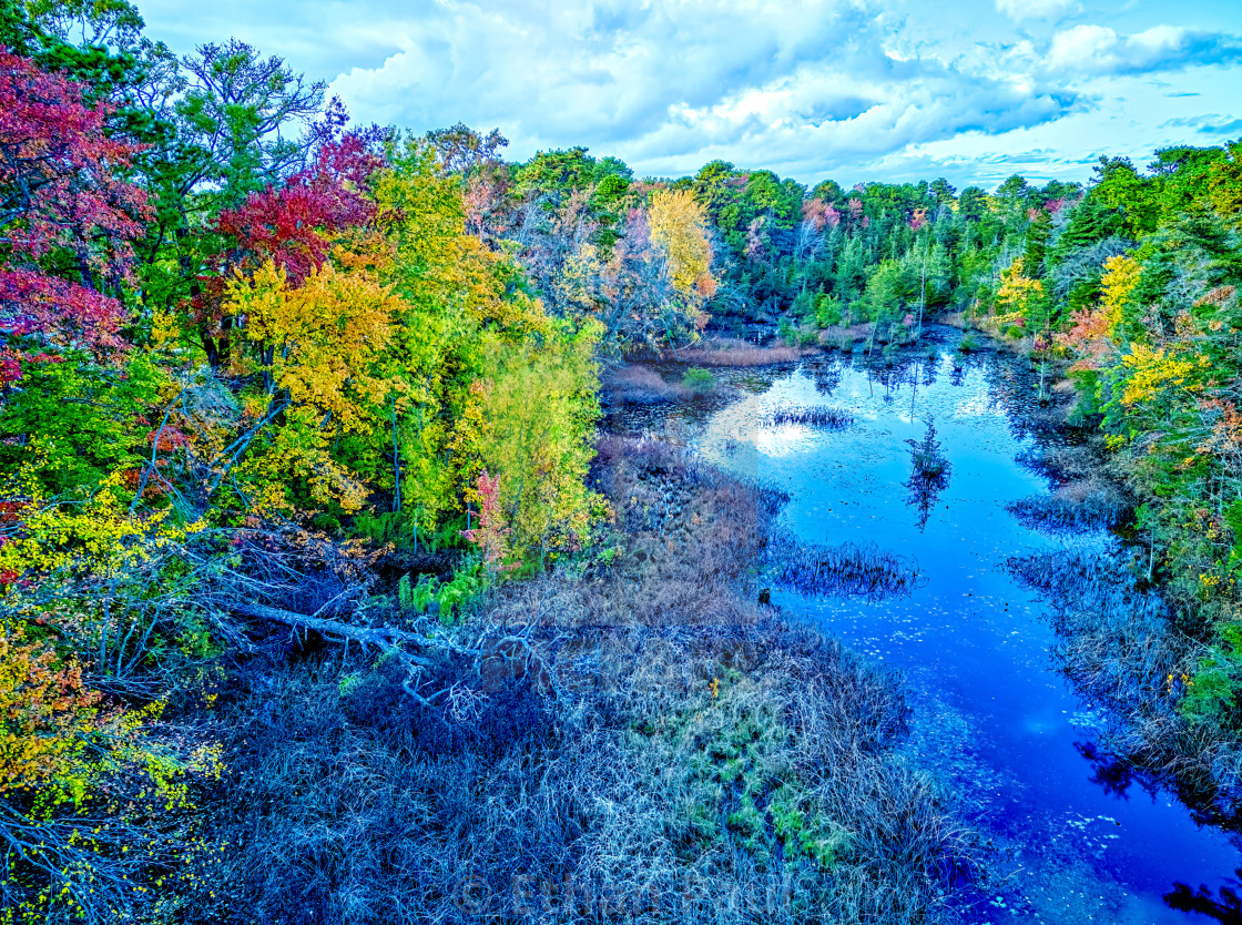 "Tranquility Pond" stock image