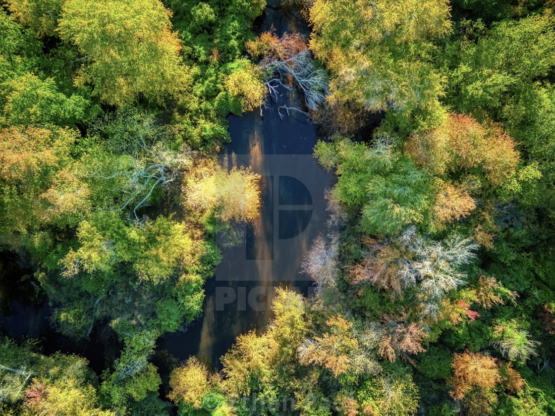 "River Pond in Fall" stock image