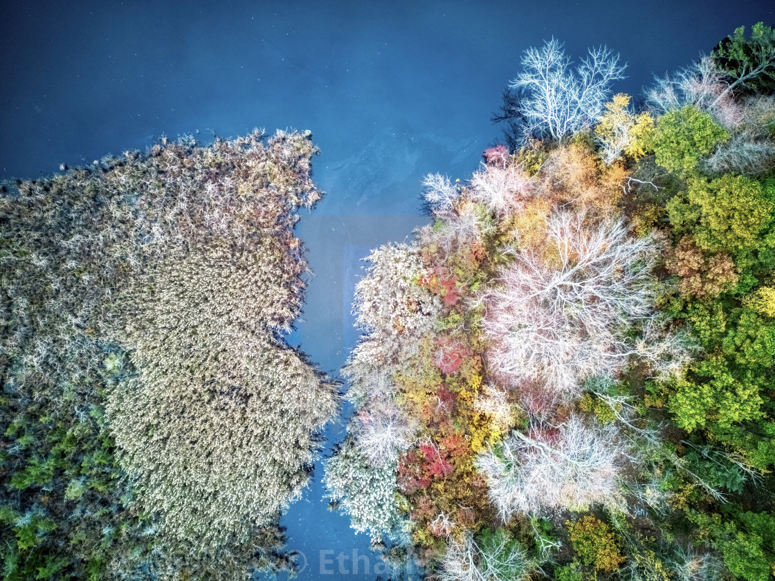 "Lake Colors in the Marsh" stock image