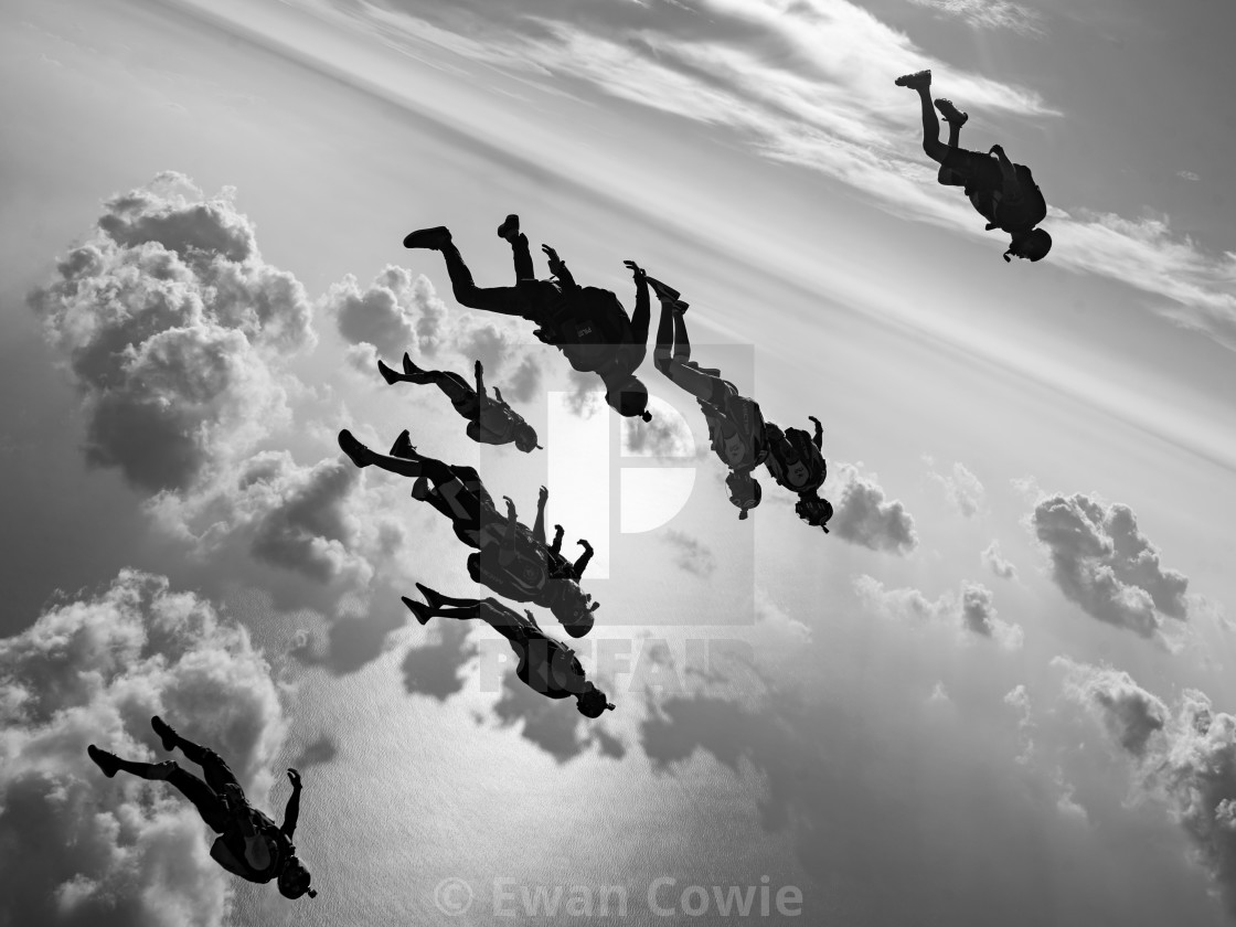 "black and white skydivers" stock image