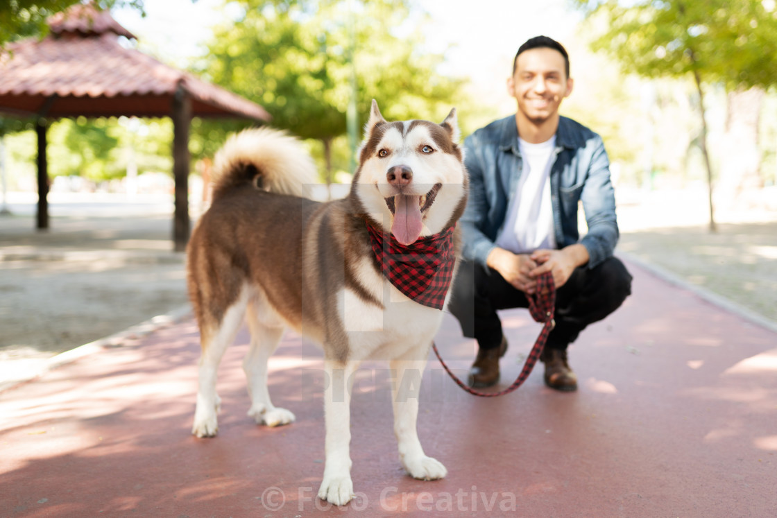 "Big brown dog and an adult man smiling in the park" by Foto Creativa - £3.80 "Big brown dog and an adult man smiling in the park" stock image