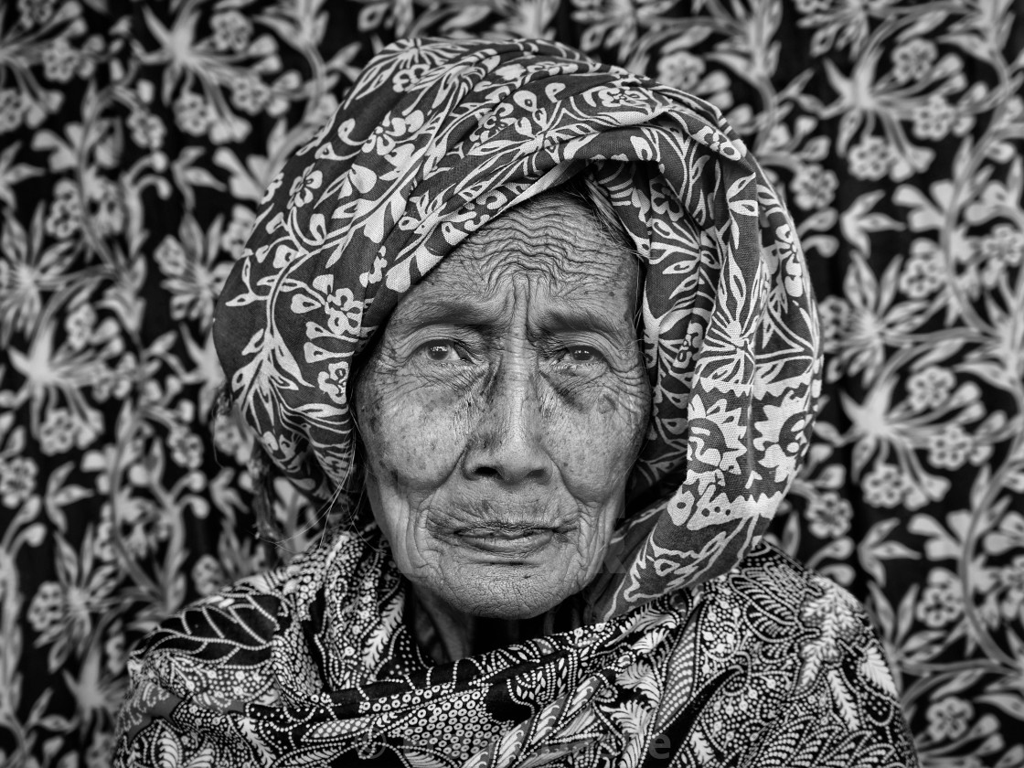 "Patterns Of Life" by Frank Daske - $37.49 "Patterns Of Life" stock image
