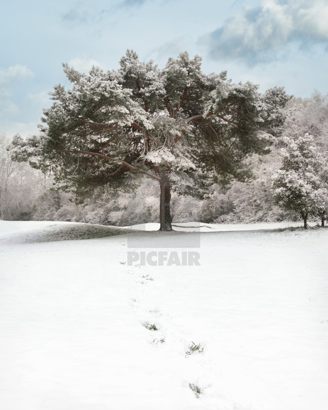 "Early Snow fall" stock image