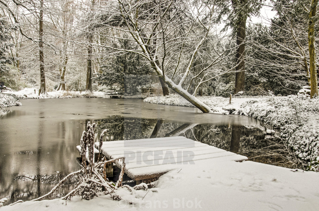 "Tranquility in Schoonoord Park" by Frans Blok - $15.41 "Tranquility in Schoonoord Park" stock image