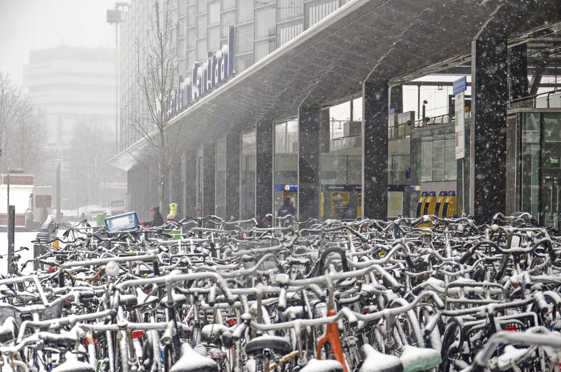 "Bicycles at the central station" by Frans Blok - $15.41 "Bicycles at the central station" stock image