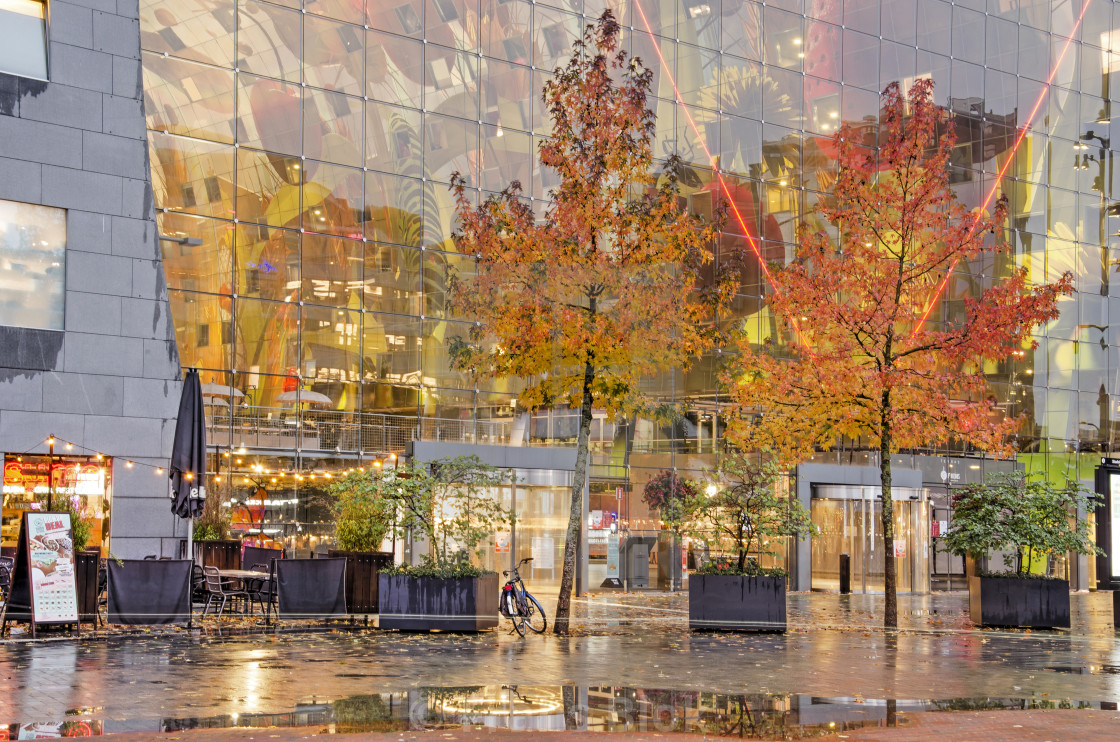 "Two sweetgum trees at the Markthal" by Frans Blok - $15.41 "Two sweetgum trees at the Markthal" stock image