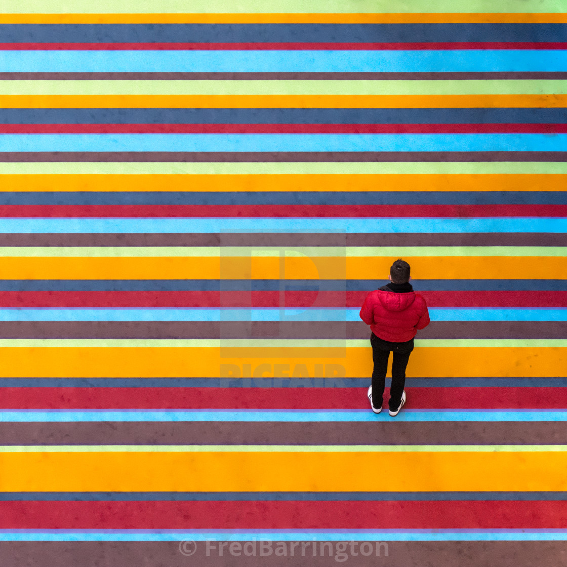 "Among the Stripes" stock image