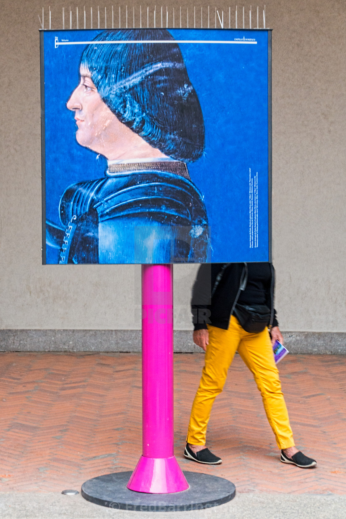 "Head and Legs in Colour" stock image