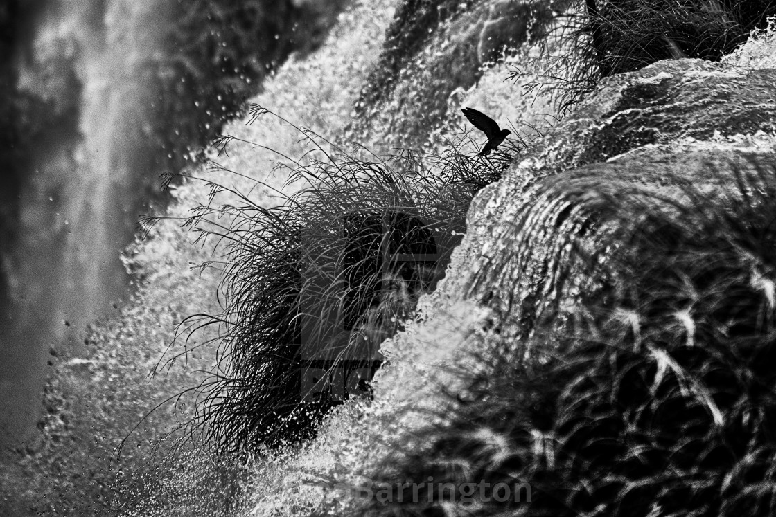 "Water Power - Iguazu Falls" stock image