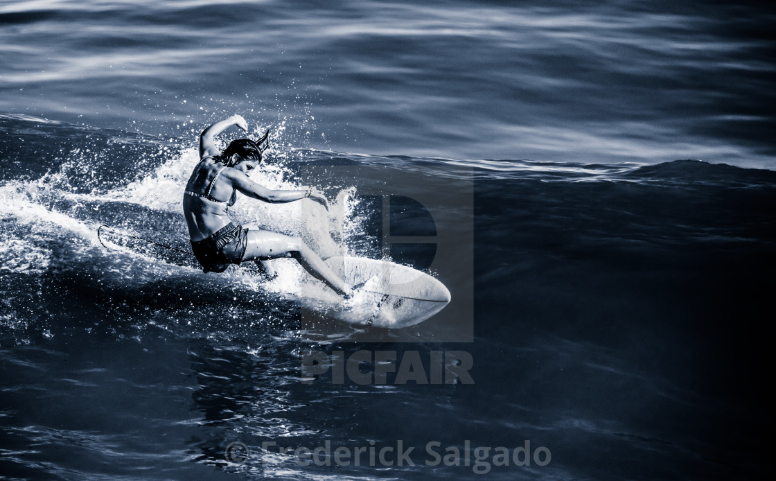 "Surfing" stock image