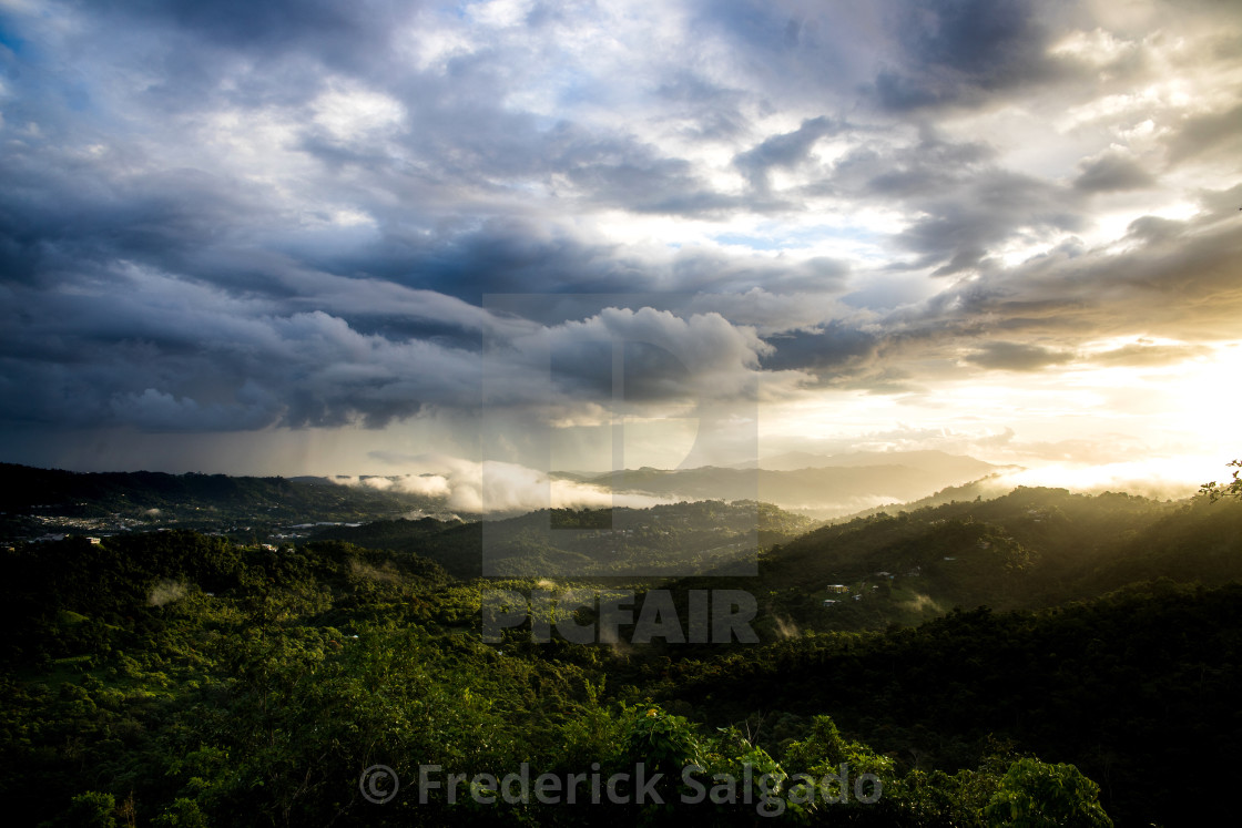 "El Yunque Rain Forest" stock image