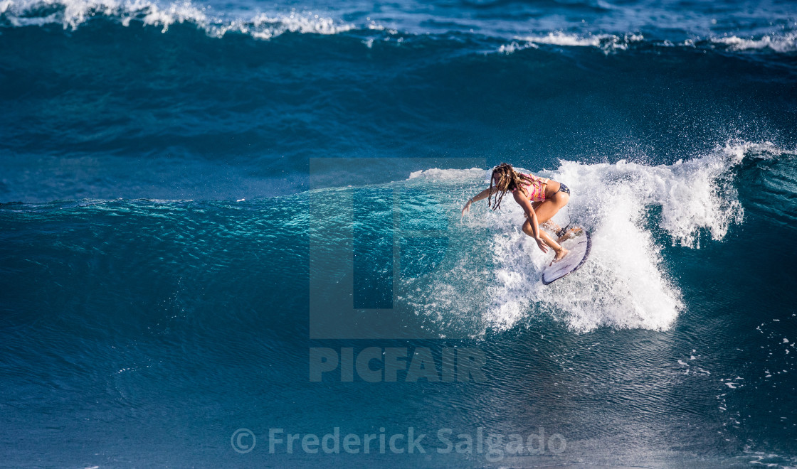 "Surfing" stock image