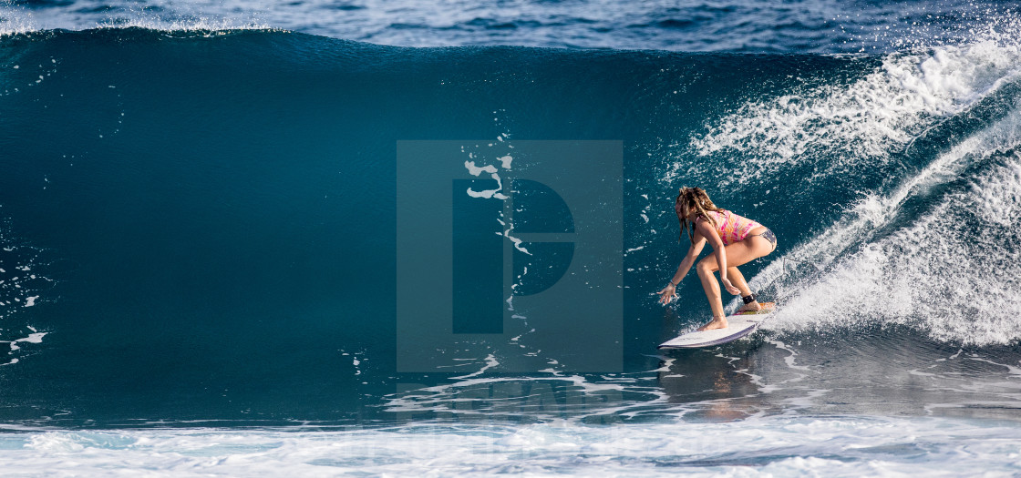 "Surfing" stock image