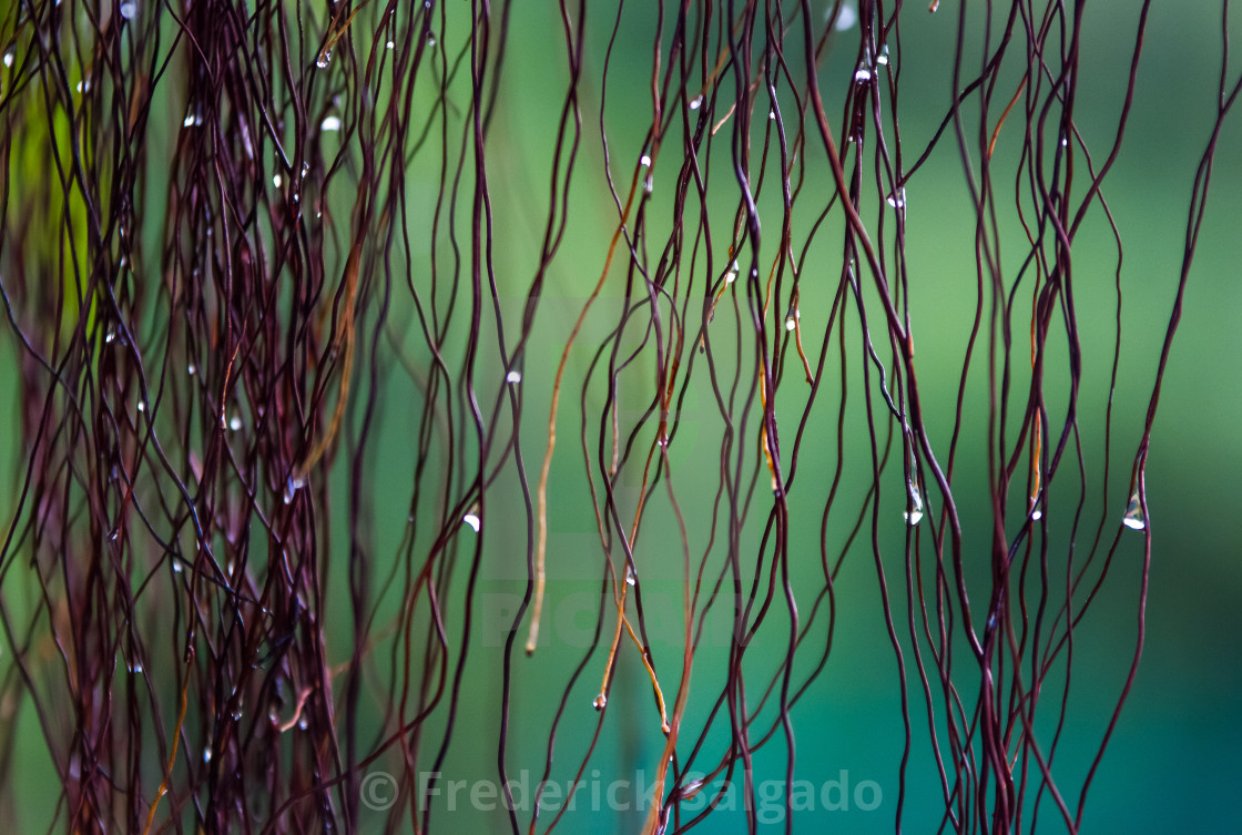 "Nature" stock image