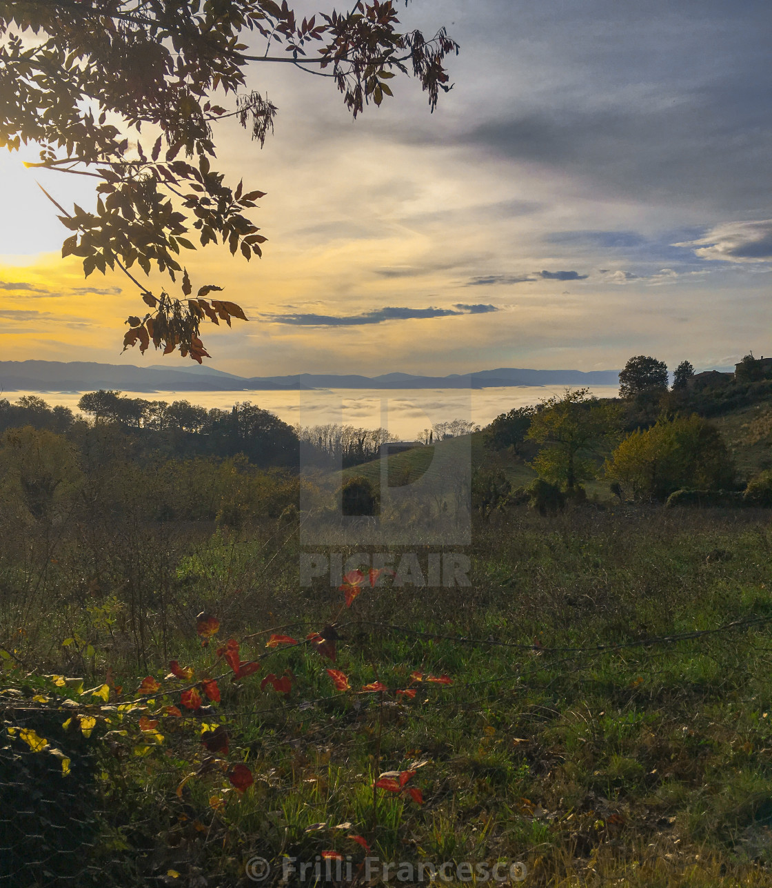 "Above the fog II" stock image