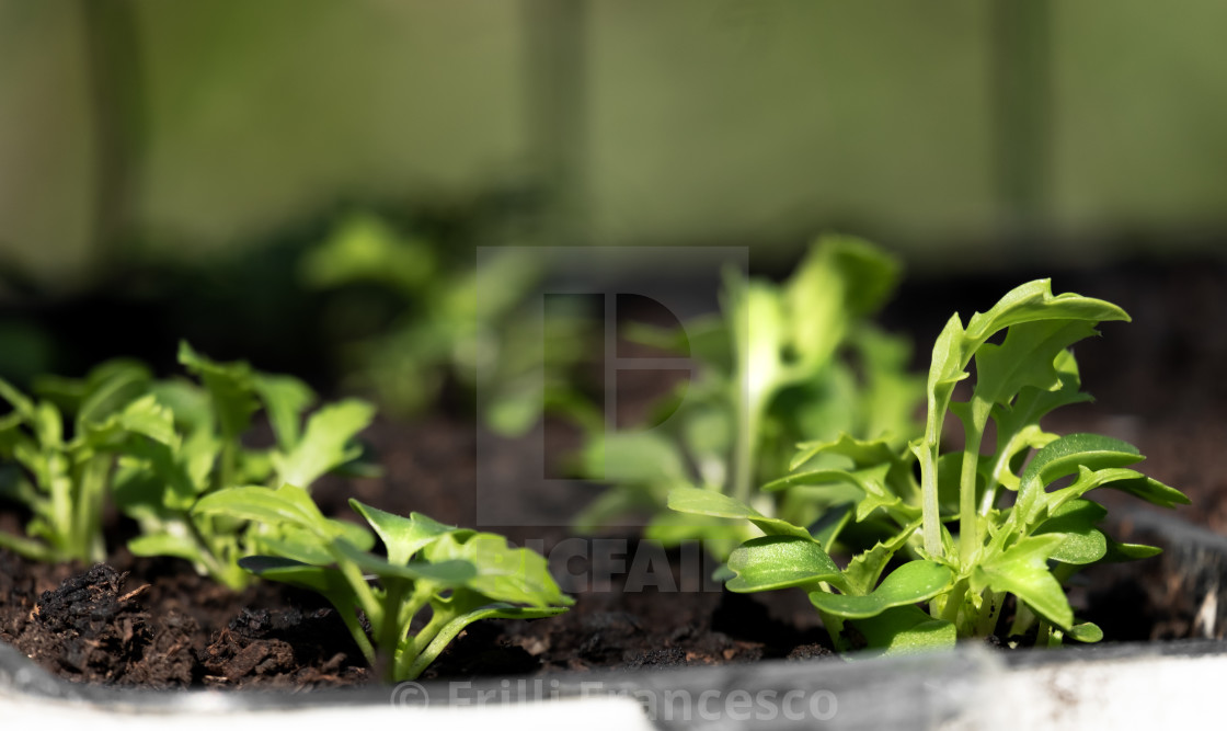 "Vivarium" stock image