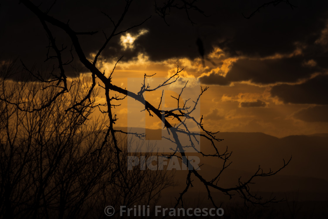 "Golden Sunset II" stock image