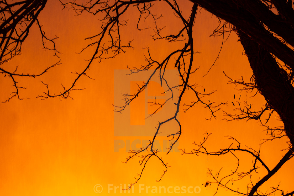 "Orange sunset I" stock image