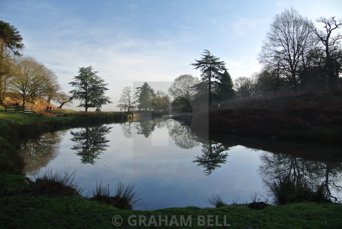 "Bradgate Park Reflections" stock image