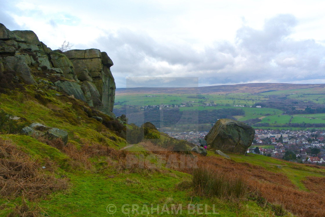 "THE COW AND CALF" stock image