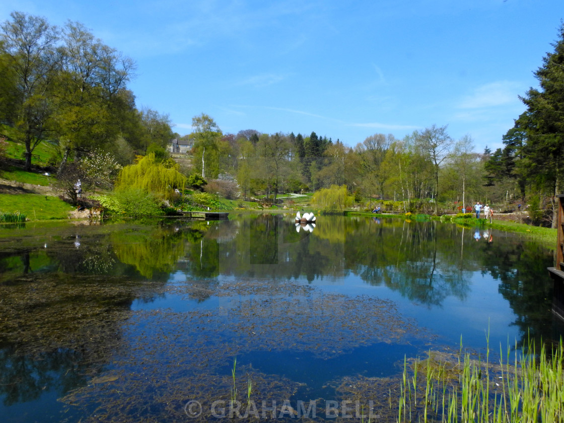 "HIMALAYAN GARDENS AND SCULPTURE PARK, RIPON" stock image