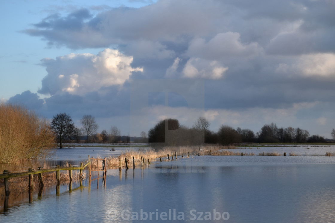 "Landscape by flooding" stock image