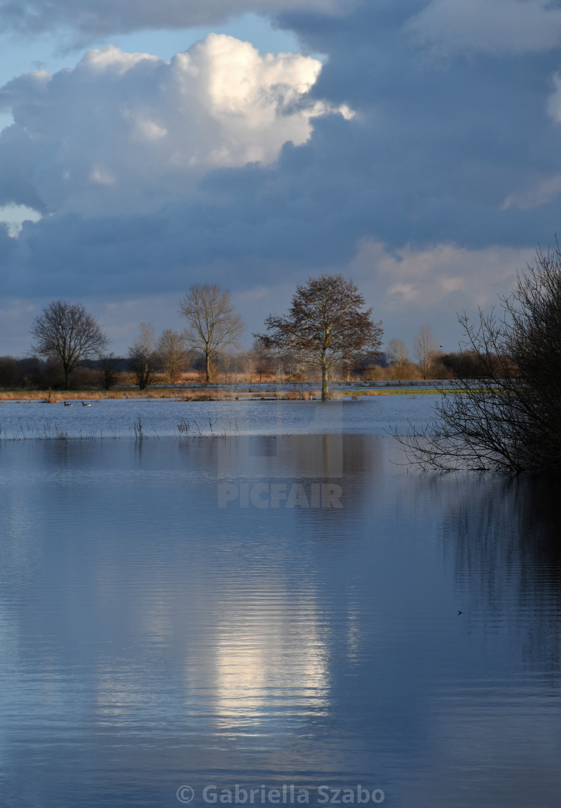 "Landscape by flooding" stock image